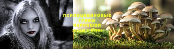 экстази Покачи