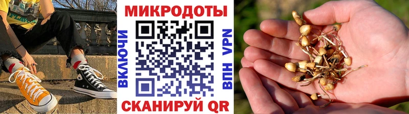 Галлюциногенные грибы ЛСД Никольск